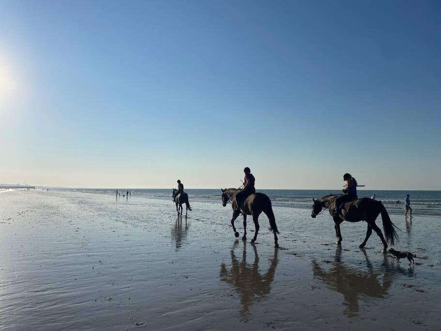 שורהאם-ביי-דה-סי Scandi Beach מראה חיצוני תמונה